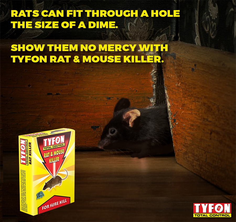 Tyfon Rat Killer And Insecticide